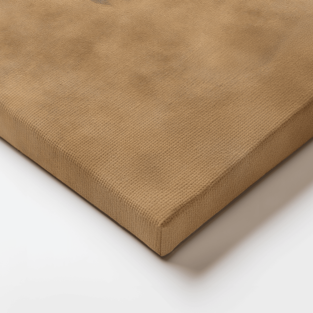 Close-up of a brown textured surface on a white background